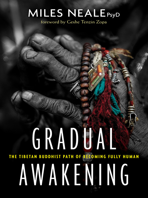 Cover image for Gradual Awakening